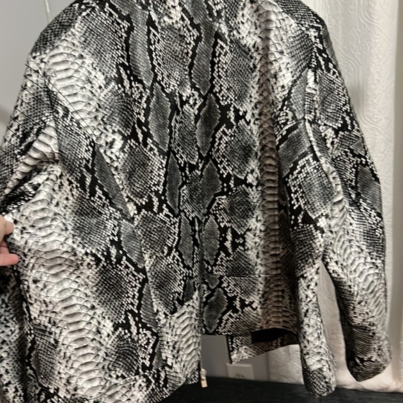 Jacket - Picture 6 of 6